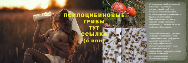 марихуана Новодвинск