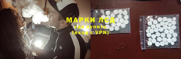 стафф Новозыбков