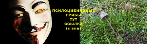 мдпв Кинешма